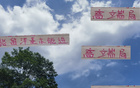 張玉寧高天意，國(guó)安申花精英；留洋進(jìn)國(guó)家隊(duì)，實(shí)力非凡。