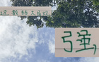 強觀大局！國安主帥輪換險致敗，但優(yōu)于一成不變陣容。