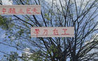 中超三巨頭現(xiàn)役，誰為真刀鋒？海港張琳芃，申花蔣圣龍。
