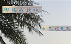 事出反常，申花老謀深算，勝后申訴，輿論戰(zhàn)必妖！簡短精煉。