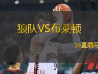 狼隊(duì)VS布萊頓