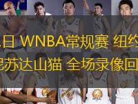 07月31日 WNBA常規(guī)賽 紐約自由人vs明尼蘇達(dá)山貓 全場錄像回放