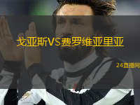 戈亞斯VS費(fèi)羅維亞里亞