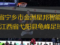 湖南省寧鄉(xiāng)市金洲星邦智能足球隊VS江西省弋陽縣龜峰足球隊