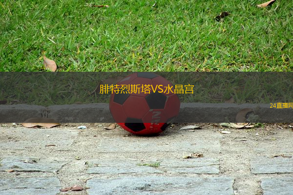 腓特烈斯塔VS水晶宮